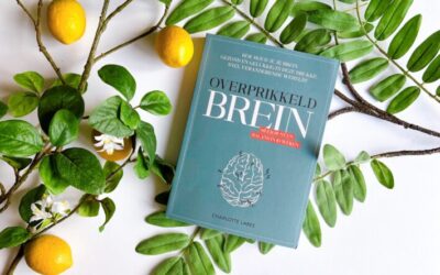Review: ‘Overprikkeld brein’ van Charlotte Labee
